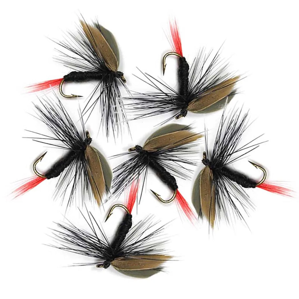 FlyVault Dry/Wet Fly Fishing Assortment Kit