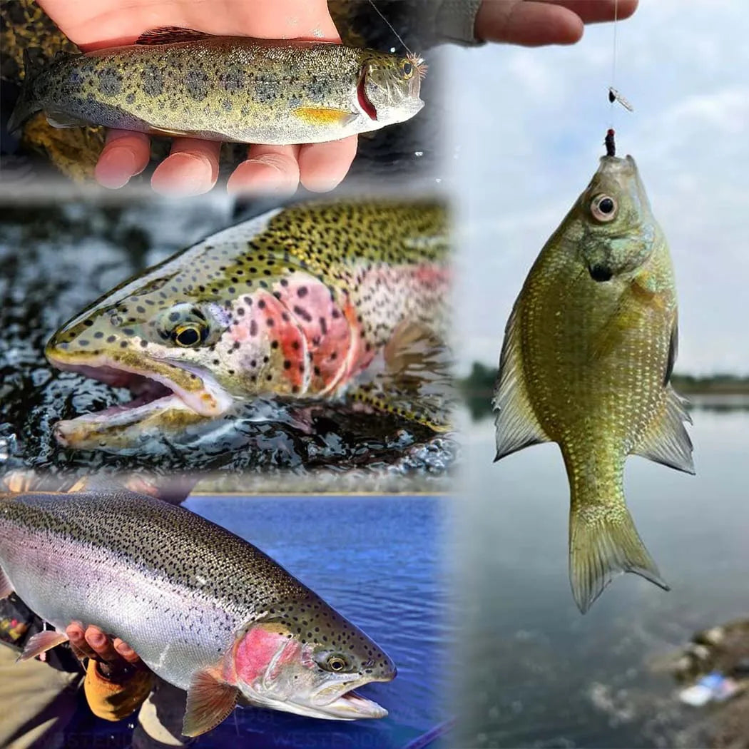 FlyVault Dry/Wet Fly Fishing Assortment Kit